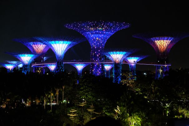 Gardens by the Bay