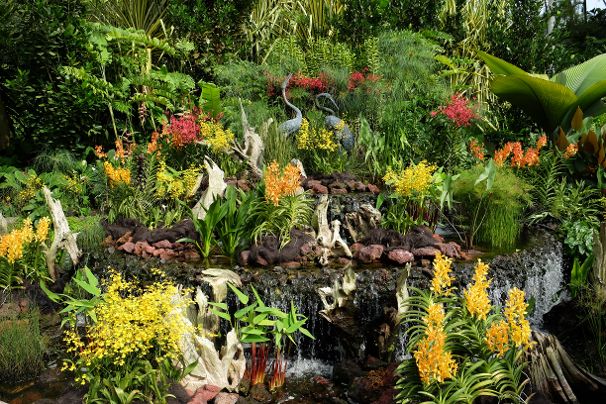 Singapore Botanic Garden