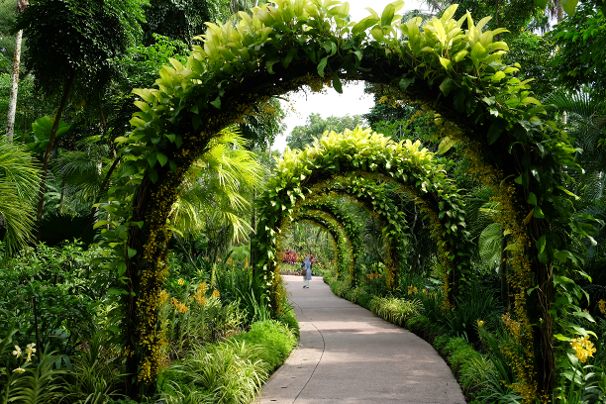 Singapore Botanic Garden
