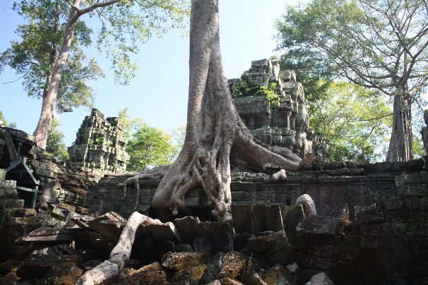 Ta Prohm