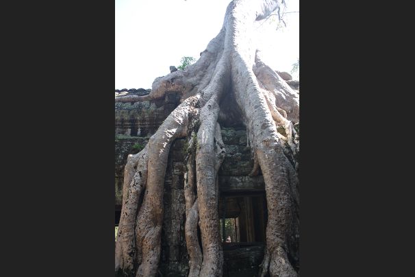 Ta Prohm